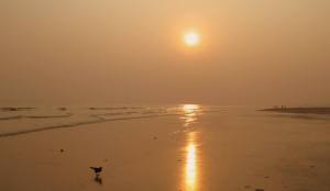 1265616_10201364497939203_1379050147_o