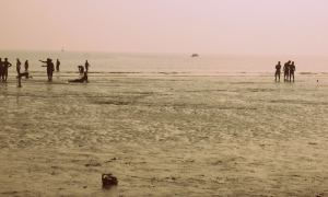 1511486_10201364464418365_13321424_o (1)