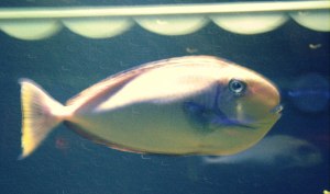 1531828_10201364510739523_1078431530_o