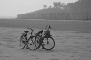 1557183_10201364496339163_1236070633_o