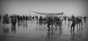 893980_10201364459058231_1430502136_o