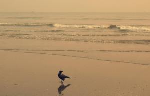 902968_10201364498739223_451919718_o